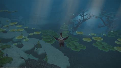 FFXIV Endwalker Guide: How to Dive Underwater – .